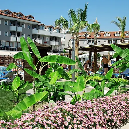 Monachus & 4* سيدي